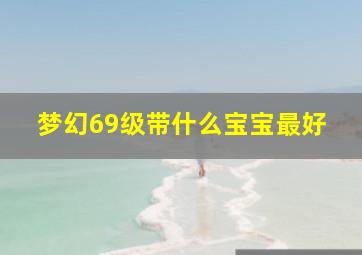 梦幻69级带什么宝宝最好