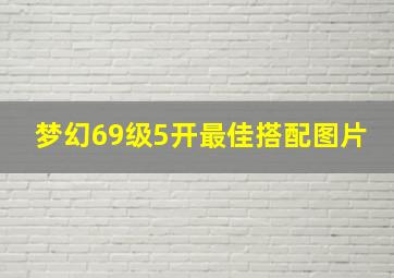 梦幻69级5开最佳搭配图片