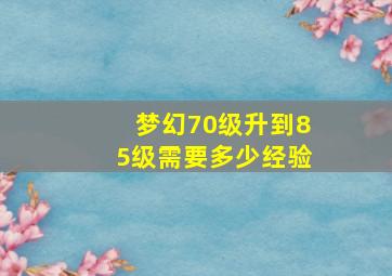 梦幻70级升到85级需要多少经验