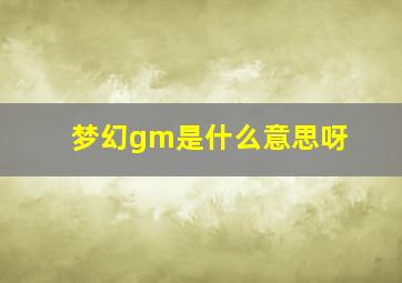 梦幻gm是什么意思呀