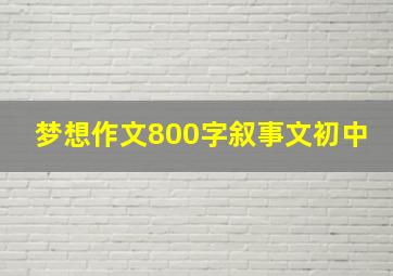 梦想作文800字叙事文初中