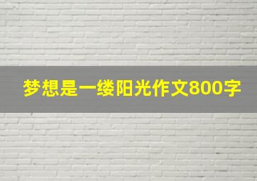 梦想是一缕阳光作文800字