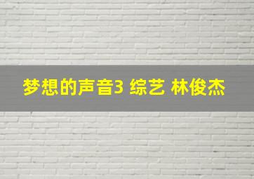 梦想的声音3 综艺 林俊杰