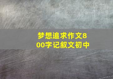 梦想追求作文800字记叙文初中