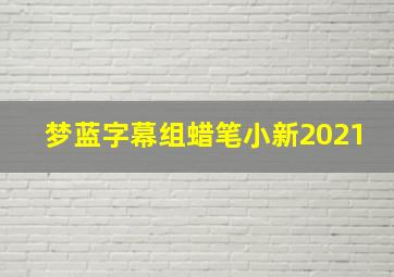 梦蓝字幕组蜡笔小新2021