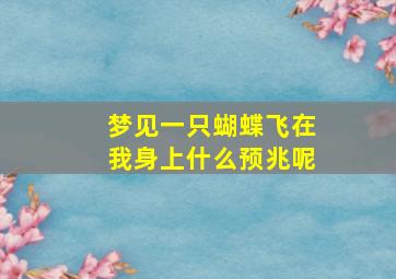 梦见一只蝴蝶飞在我身上什么预兆呢