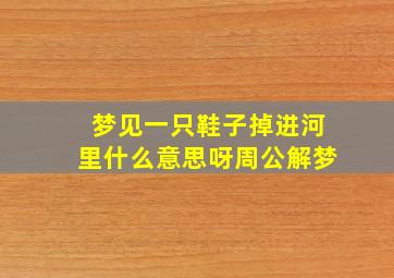 梦见一只鞋子掉进河里什么意思呀周公解梦