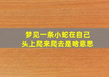 梦见一条小蛇在自己头上爬来爬去是啥意思