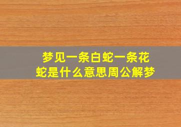 梦见一条白蛇一条花蛇是什么意思周公解梦