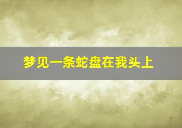 梦见一条蛇盘在我头上