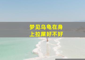 梦见乌龟在身上拉屎好不好