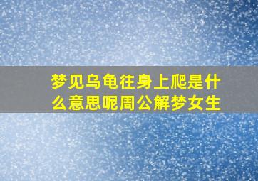 梦见乌龟往身上爬是什么意思呢周公解梦女生