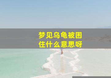 梦见乌龟被困住什么意思呀