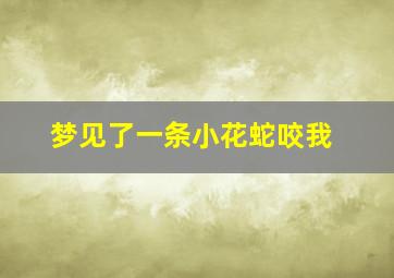 梦见了一条小花蛇咬我