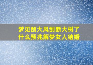 梦见刮大风刮断大树了什么预兆解梦女人结婚