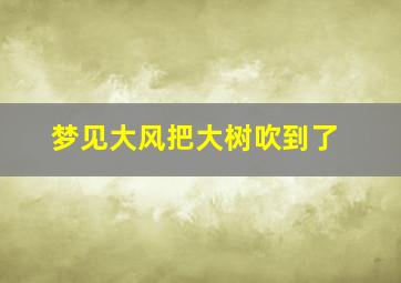 梦见大风把大树吹到了