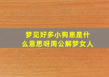 梦见好多小狗崽是什么意思呀周公解梦女人