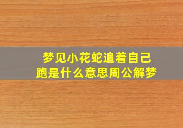 梦见小花蛇追着自己跑是什么意思周公解梦