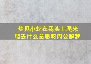 梦见小蛇在我头上爬来爬去什么意思呀周公解梦