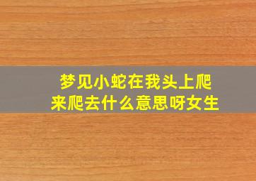 梦见小蛇在我头上爬来爬去什么意思呀女生