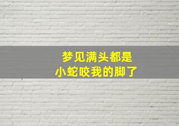 梦见满头都是小蛇咬我的脚了