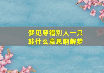 梦见穿错别人一只鞋什么意思啊解梦