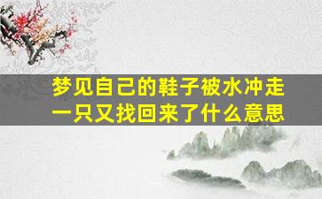 梦见自己的鞋子被水冲走一只又找回来了什么意思