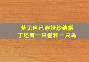 梦见自己穿婚纱结婚了还有一只猫和一只鸟