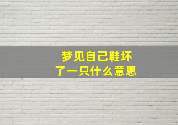 梦见自己鞋坏了一只什么意思