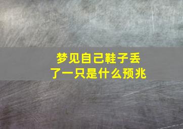 梦见自己鞋子丢了一只是什么预兆