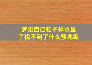 梦见自己鞋子掉水里了找不到了什么预兆呢