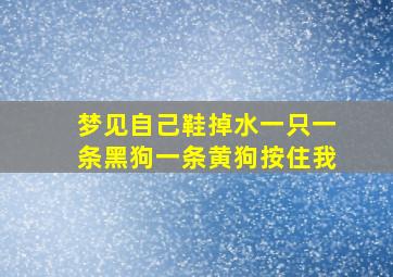 梦见自己鞋掉水一只一条黑狗一条黄狗按住我