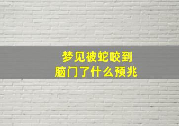 梦见被蛇咬到脑门了什么预兆