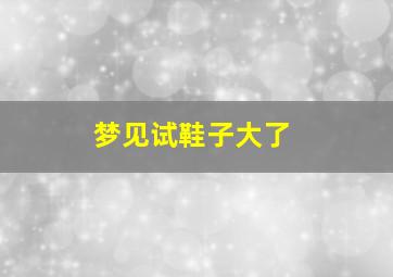 梦见试鞋子大了