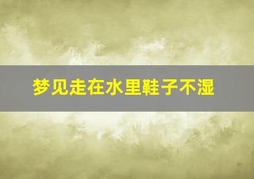 梦见走在水里鞋子不湿