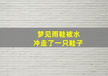 梦见雨鞋被水冲走了一只鞋子