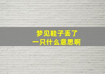 梦见鞋子丢了一只什么意思啊