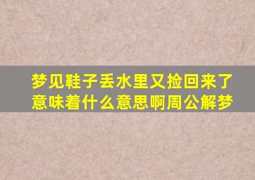 梦见鞋子丢水里又捡回来了意味着什么意思啊周公解梦