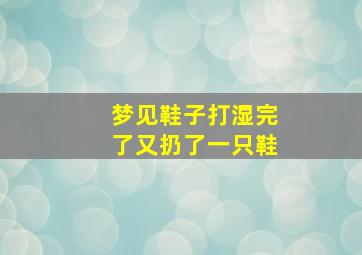 梦见鞋子打湿完了又扔了一只鞋