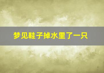 梦见鞋子掉水里了一只