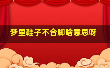 梦里鞋子不合脚啥意思呀