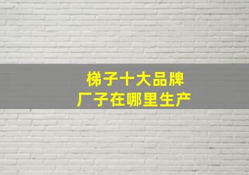 梯子十大品牌厂子在哪里生产