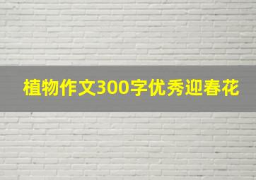 植物作文300字优秀迎春花