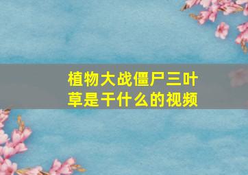 植物大战僵尸三叶草是干什么的视频