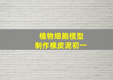 植物细胞模型制作橡皮泥初一