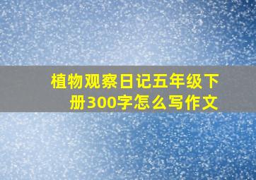 植物观察日记五年级下册300字怎么写作文