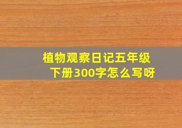 植物观察日记五年级下册300字怎么写呀