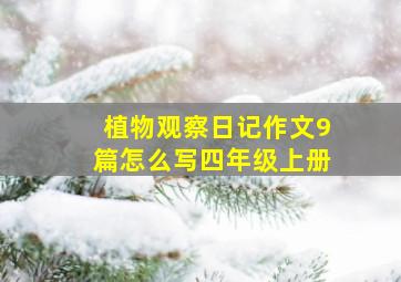 植物观察日记作文9篇怎么写四年级上册