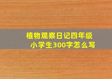 植物观察日记四年级小学生300字怎么写