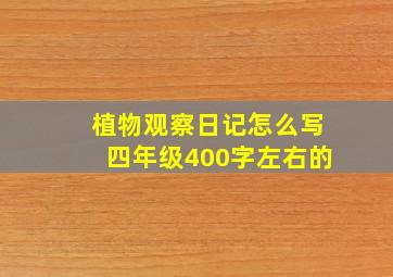 植物观察日记怎么写四年级400字左右的